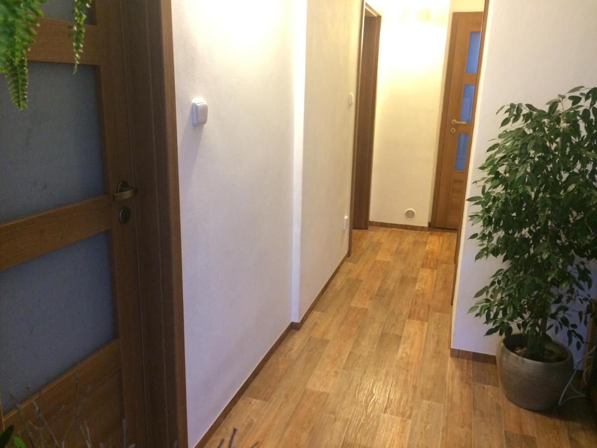 Mamut Privat Garden House Prázdninový dům Praha